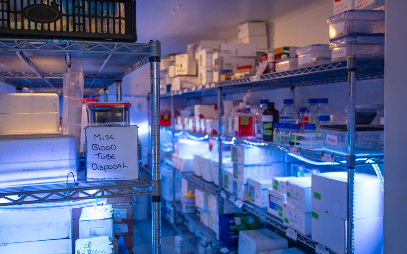 Samples in storage fridge