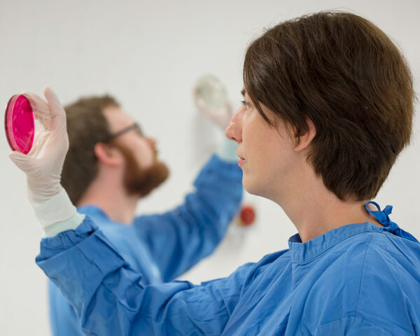 Scientists examining plates