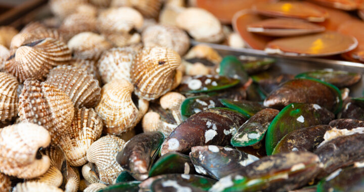 Marine Biotesting Shellfish